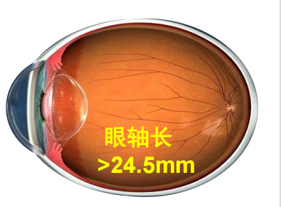 386870a9ec54ed30d0fb13a4f721fde.png